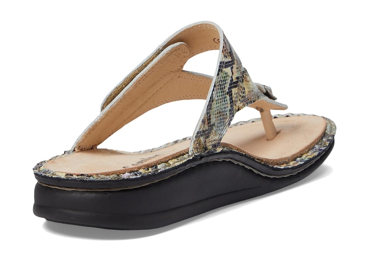 （新品）FinnComfort Amazon.com: Finn Comfort Alexandria-S Multi Jungle EU 36 (US